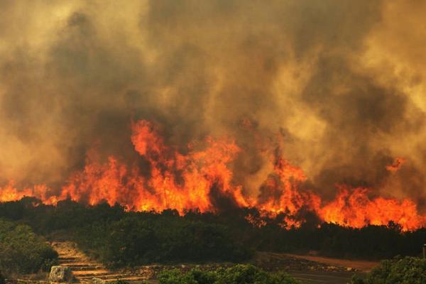 سوزاندن 10 هکتار از مراتع دماوند به وسیله گردشگران